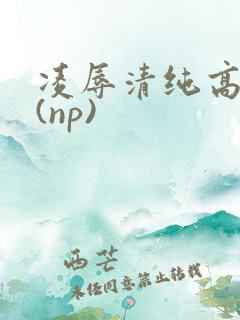 凌辱清纯高中生(np)