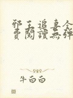 邪王追妻全文免费阅读无弹窗