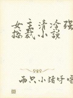 女主清冷强大的总裁小说