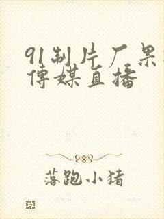 91制片厂果冻传媒直播