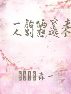 一胎俩宝老婆大人别想逃全文免费阅读