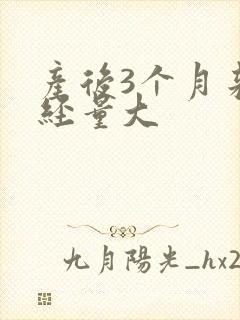 产后3个月来月经量大