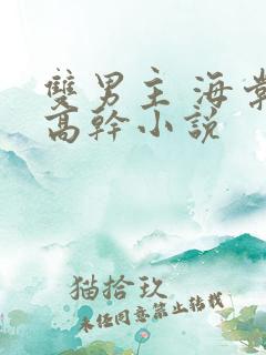 双男主 海棠 高干小说