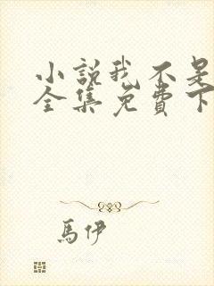 小说我不是戏神全集免费下载