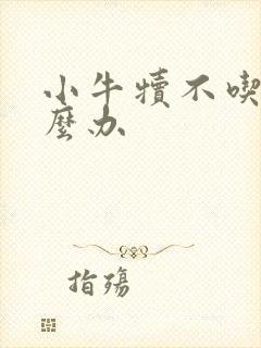 小牛犊不吃奶怎么办