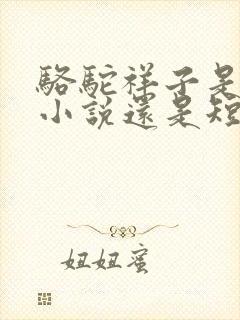 骆驼祥子是长篇小说还是短篇