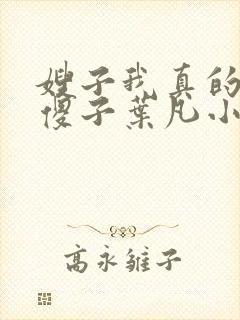 嫂子我真的不是傻子叶凡小说