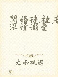 闪婚后,被老公深情溺爱