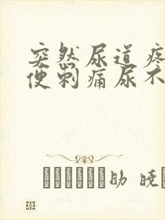 突然尿道疼痛小便刺痛尿不尽