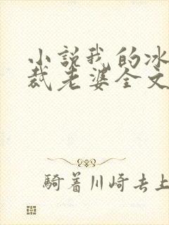 小说我的冰山总裁老婆全文阅读