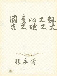 国产va又粗又爽又硬又大视频