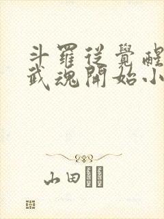 斗罗从觉醒朱雀武魂开始小说