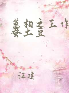 万相之王作者天蚕土豆