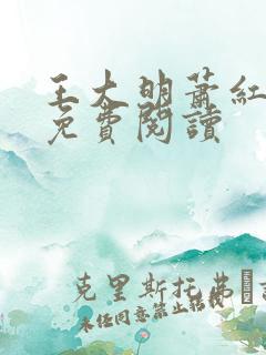 王大明萧红小说免费阅读