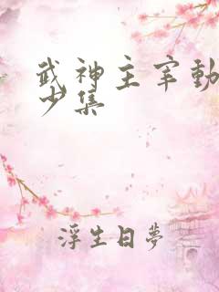 武神主宰动漫多少集