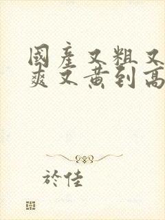 国产又粗又猛又爽又黄到高潮视频