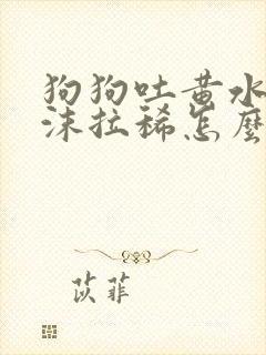 狗狗吐黄水带泡沫拉稀怎么办