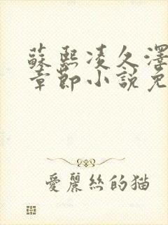 苏熙凌久泽最新章节小说免费阅读