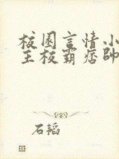 校园言情小说男主校霸痞帅