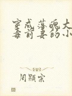 穿成落魄大佬恶毒前妻的小说