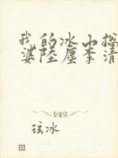 我的冰山总裁老婆陆尘李清瑶