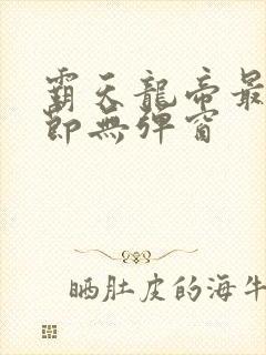 霸天龙帝最新章节无弹窗