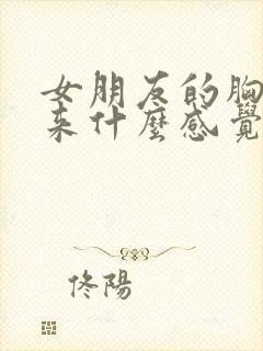 女朋友的胸摸起来什么感觉