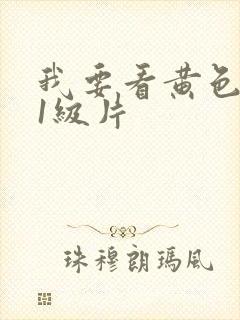 我要看黄色录像1级片