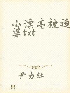 小漂亮被迫当老婆txt