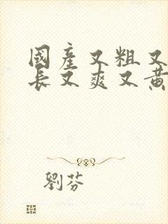 国产又粗又硬又长又爽又黄又猛的视频