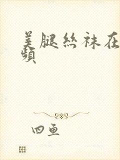 美腿丝袜在线视频