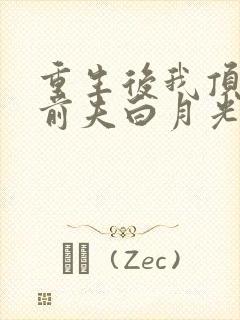 重生后我顶替了前夫白月光最新章节txt