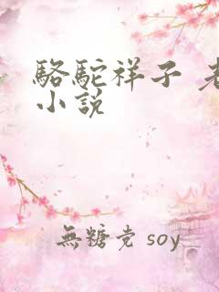 骆驼祥子 老舍小说