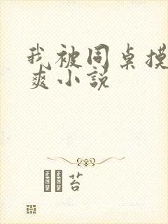 我被同桌摸的好爽小说