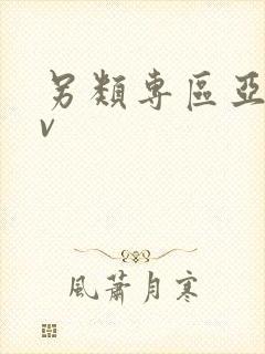 另类专区亚洲av