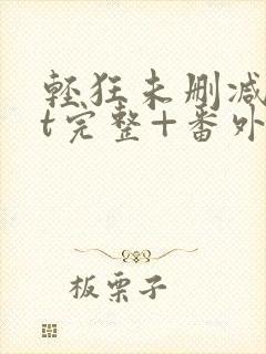 轻狂未删减txt完整+番外