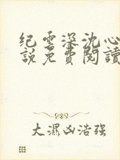 纪云深沈心瑶小说免费阅读最新章节