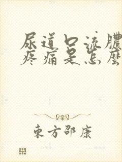 尿道口流脓小便疼痛是怎么回事