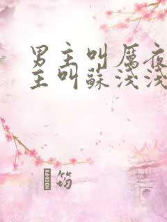 男主叫厉夜霆女主叫苏浅浅的小说