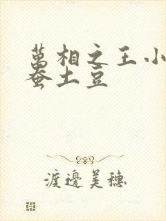 万相之王小说天蚕土豆