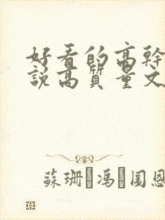 好看的高干文小说高质量文笔好