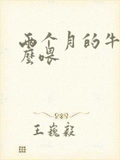 两个月的牛犊怎么喂