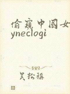 偷窥中国女人gyneclogi