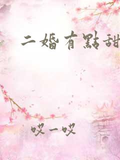 二婚有点甜短剧