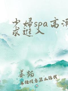 少妇spa高潮求进入