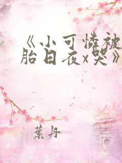 《小可怜被双胞胎日夜x哭》