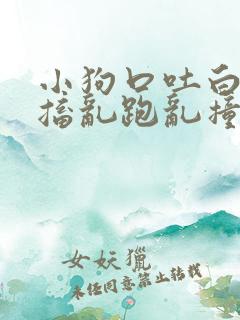 小狗口吐白沫抽搐乱跑乱撞