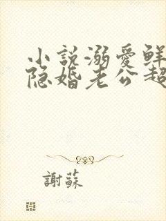 小说溺爱鲜妻:隐婚老公超级宠