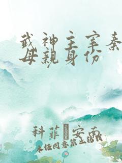 武神主宰秦尘的母亲身份
