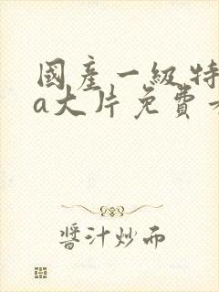 国产一级特黄aa大片免费看